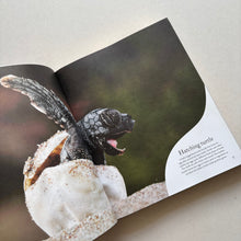 Load image into Gallery viewer, Nature's Treasures Hardback Book
