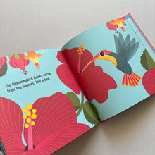 Load image into Gallery viewer, The Sky Guys Hardback Book
