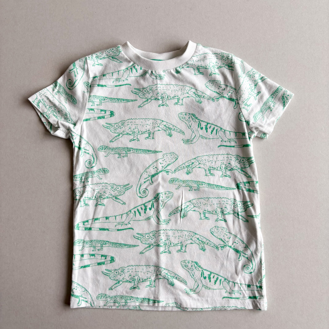M&S Iguana/Chameleon T-Shirt - 3-4 years