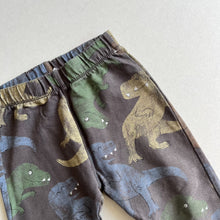 Load image into Gallery viewer, Zara Dinosaur Leggings - 3-4 years
