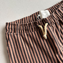 Load image into Gallery viewer, Sproet &amp; Sprout Brown Stripe Shorts - 4 years
