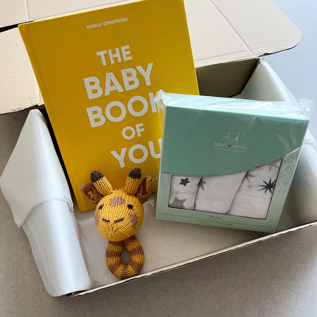 New Baby Gift Bundle