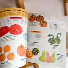 Load image into Gallery viewer, An Autumn Treasury Paperback Book
