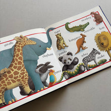 Load image into Gallery viewer, Little Rabbit's Picture Word Hardback Book
