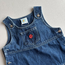 Load image into Gallery viewer, Ladybird (Vintage) Dress  - 3-6 Months
