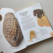 Load image into Gallery viewer, Nature's Treasures Hardback Book
