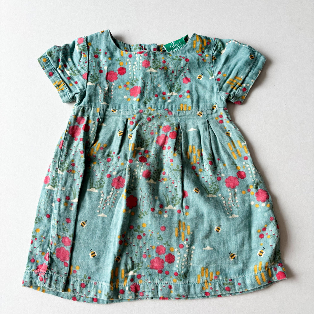 Little Green Radicals Dress - 9-12 months